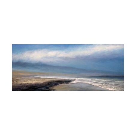 Trademark Fine Art Michael Mote 'Eye of God' Canvas Art, 8x19 IC02239-C819GG